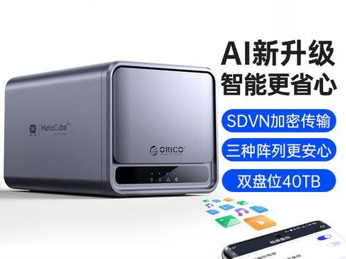 能挂在本地硬盘吗