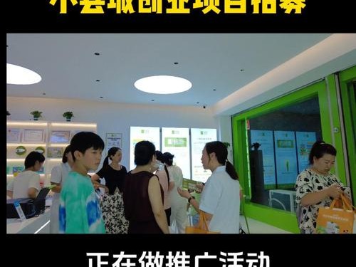 项目推广