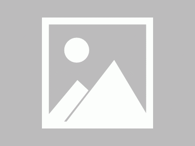 Vue.js快速入门 (引入)