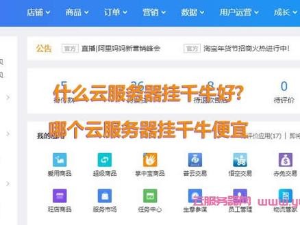 能挂千牛吗