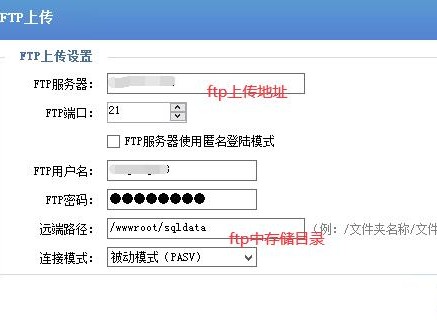 怎么自动备份数据