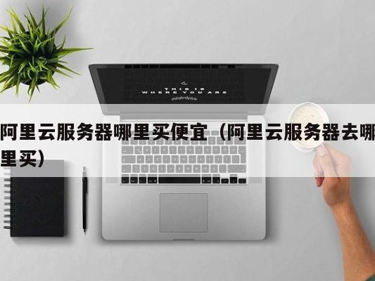 阿里去哪里买）