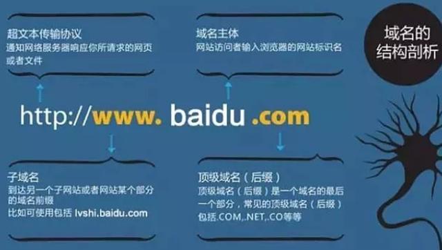 co域名是什么