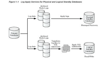 如何进行ORACLE DataGuard备份策略