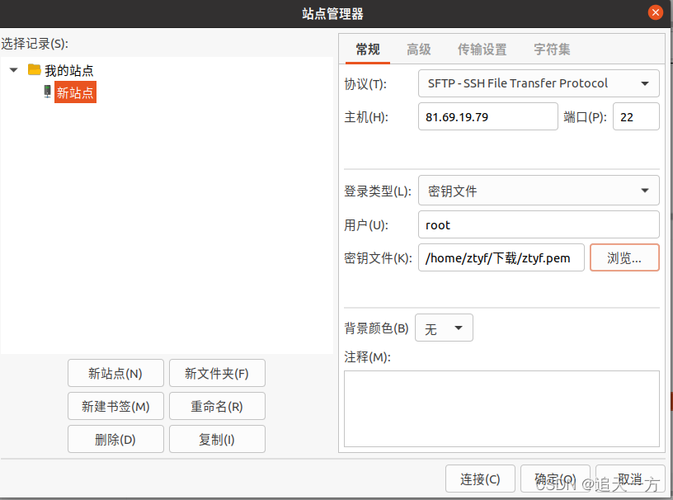 云服务器上如何使用file