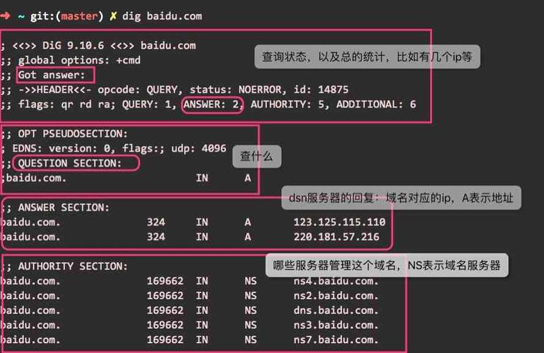 Linux系统中nslookup和dig的安装及使用(linux nslookup命令详解)
