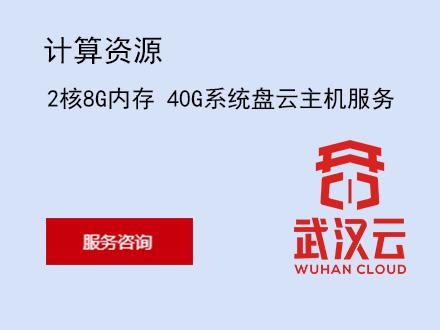武汉云主机供应公司(武汉云主机供应公司地址)