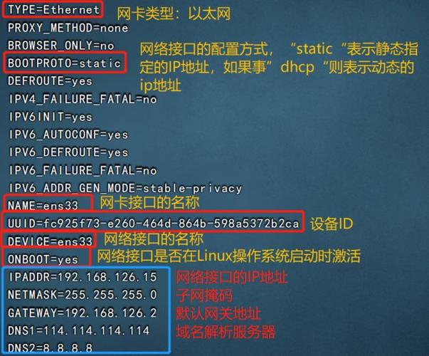 linux中data属于什么文件(linux中data的功能什么)