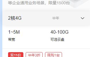 阿里云香港服务器双十一打折吗(阿里云香港服务器优惠)