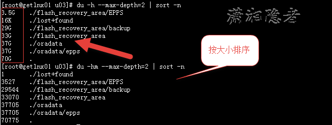 linux如何查看目录(linux如何查看目录文件大小)