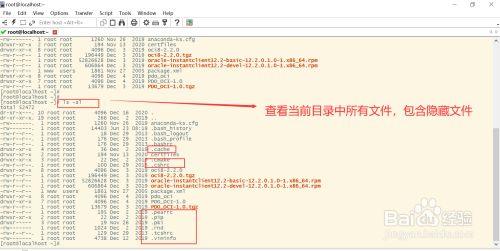 linux如何查看目录(linux如何查看目录文件大小)