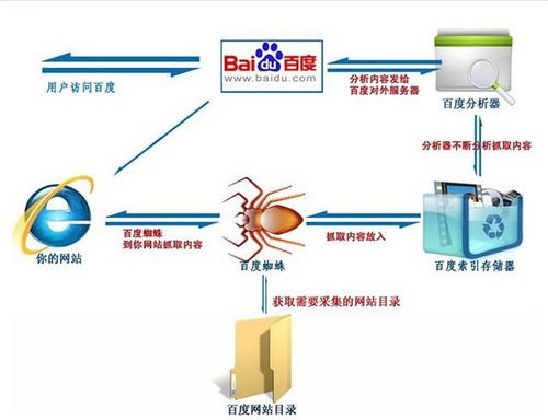 百度蜘蛛是什么意思?如何解除百度蜘蛛封禁?(百度蜘蛛是什么意思?如何解除百度蜘蛛封禁功能)