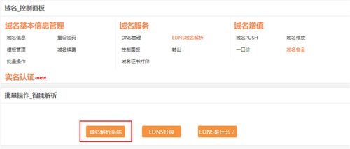 注册域名解析是什么意思(注册域名解析是什么意思啊)