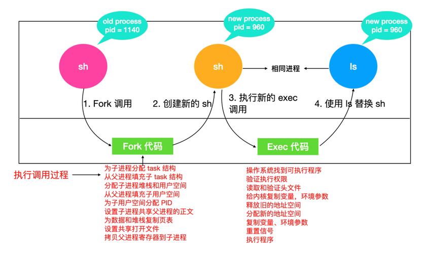 Linux进程关系是怎样的(linux中的进程)
