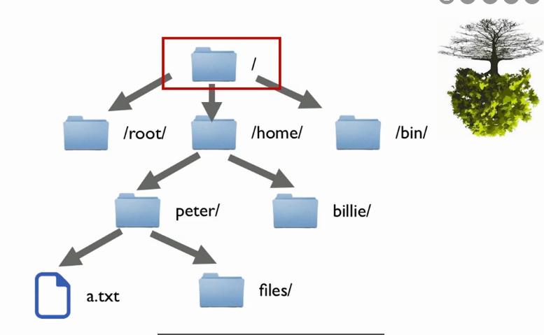 linux相对路径如何写(linux相对路径写法)