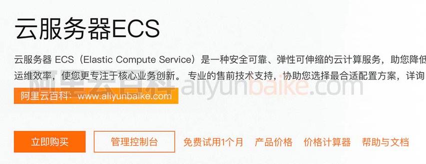 ecs云服务器怎样转出(云服务器ecs怎么用)
