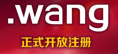 .wang是国际域名吗（.cn是国际域名吗）