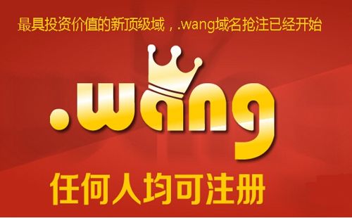 .wang是国际域名吗（.cn是国际域名吗）
