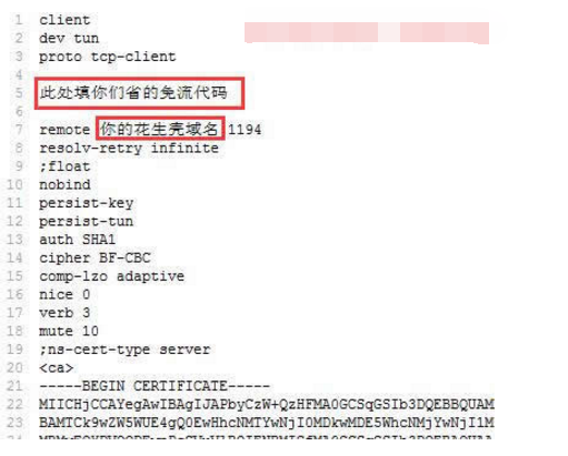 包含open***云免服务器搭建教程的词条
