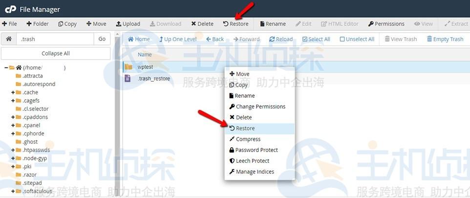 Cpanel主机教程:管理面板移动、压缩和删除文件的方法(cpanel使用教程)