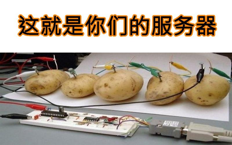 土豆云服务器