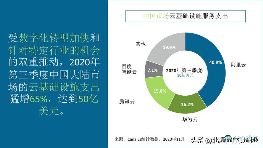 国内云服务器租赁费用占比