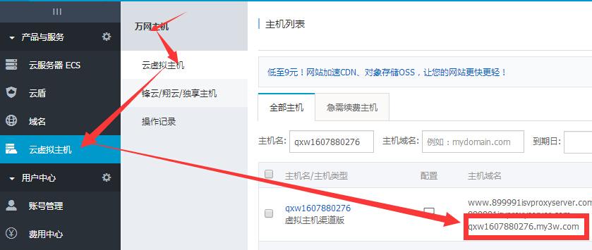 云服务器ecs临时域名