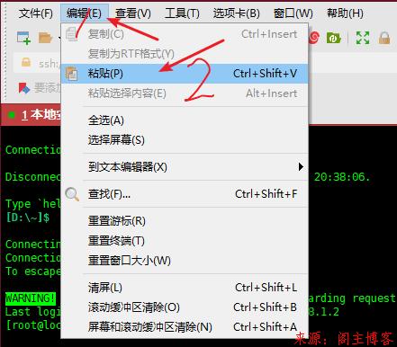 粘贴命令云服务器