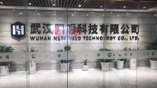 国家云服务器公司