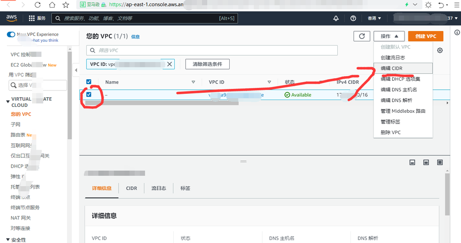 亚马逊云服务器ipv6