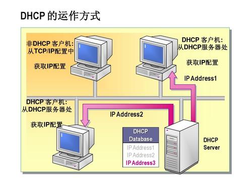 dhcp服务器和玩客云