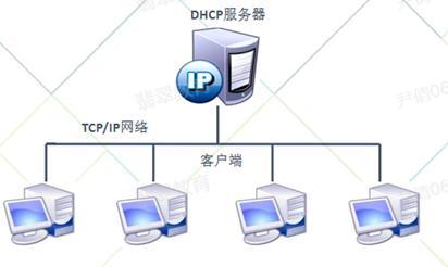 dhcp服务器和玩客云