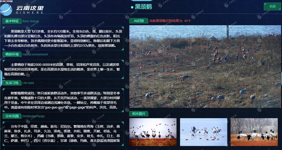基于Springboot动物大全和百度AI动物智能识别系统设计与实现 开题报告参考