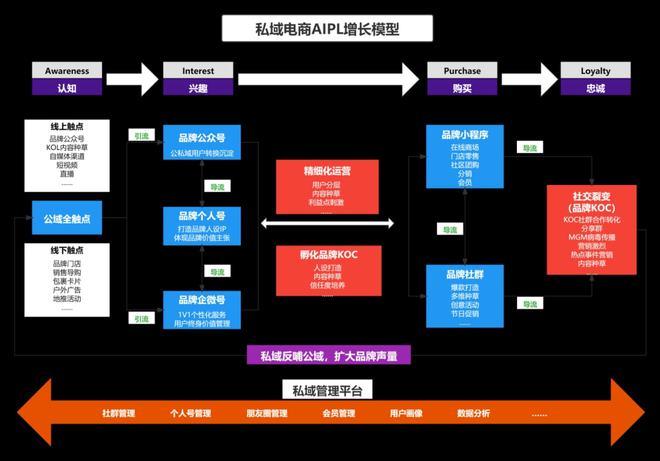 电商运营中的AI驱动的智能用户转化分析系统