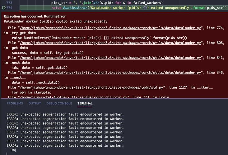 解决pytorch dataloader报错:Trying to resize storage that is not resizable