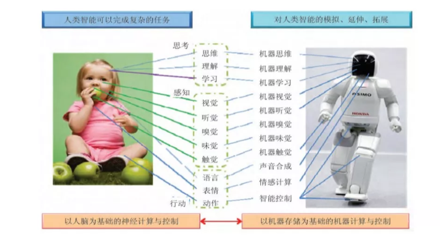 人工智能与自然智能:比较与对比