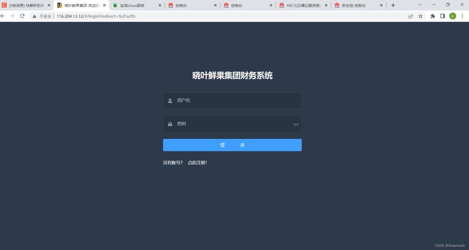 vue云服务器