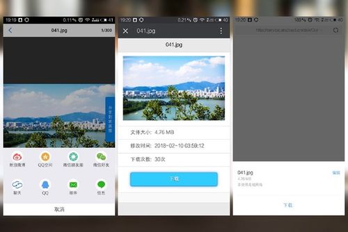 新浪云盘提供服务器