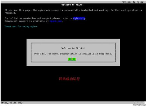 nginx1.24源码编译安装（Linux7.9环境）