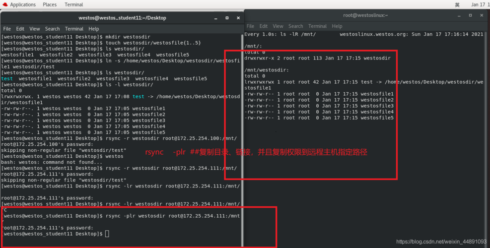 Linux 使用 SSH 传输文件