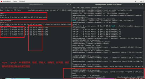 Linux 使用 SSH 传输文件