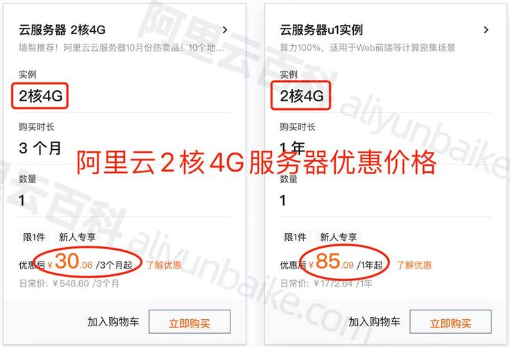 阿里云有月费服务器吗