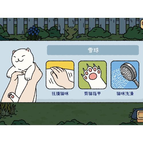云吸猫服务器怎么样