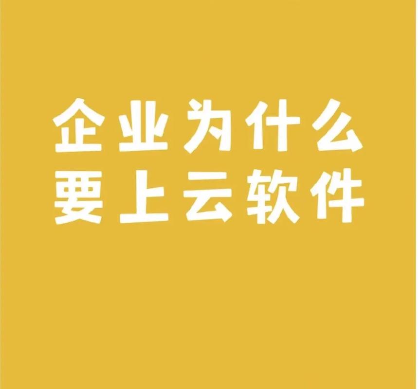 软件怎么挂云服务器上