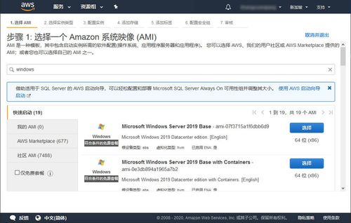 亚马逊云服务器怎么查看