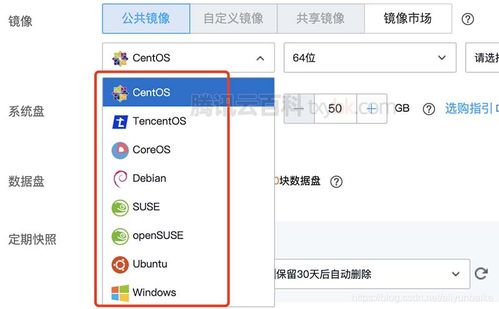 云服务器里镜像选什么