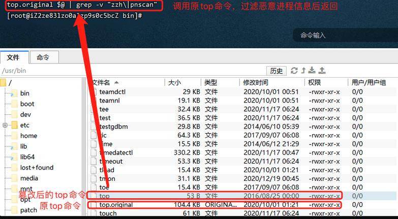 阿里云服务器被植入挖矿木马