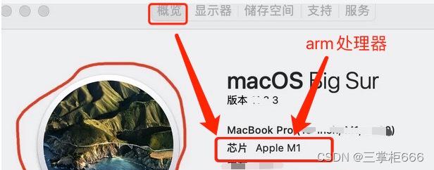 Mac电脑使用:判断ARM64 or x64的方法