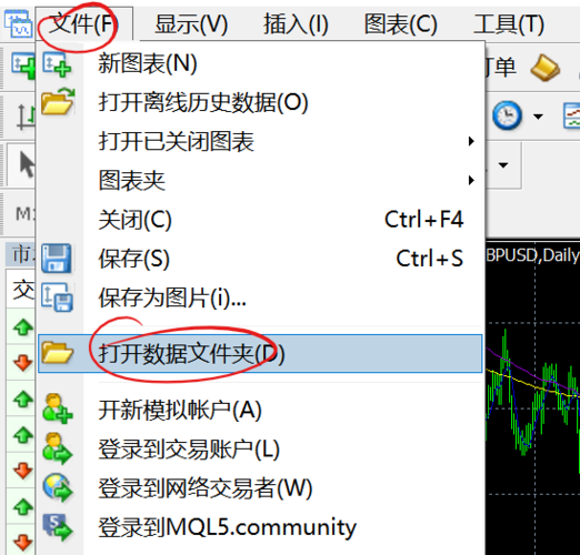 云服务器上怎样挂ea