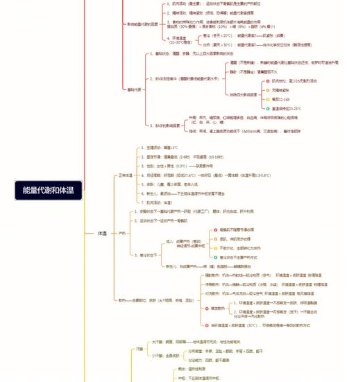 【MATLAB 分类算法教程】